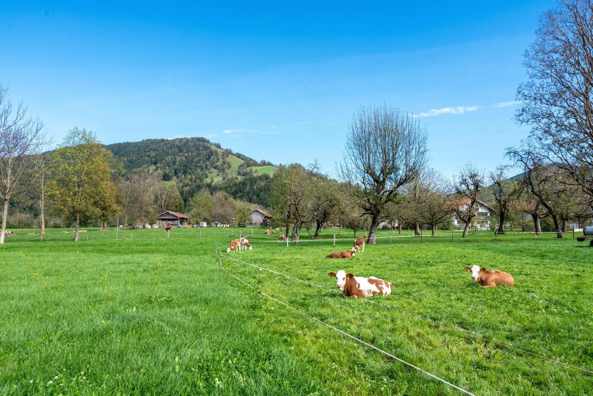 Wohnung Brauneck Gaissach Esterno foto